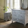 Mother Of Pearl 4 - Drawer Accent Chest