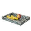 Set of 2 Mop Tray